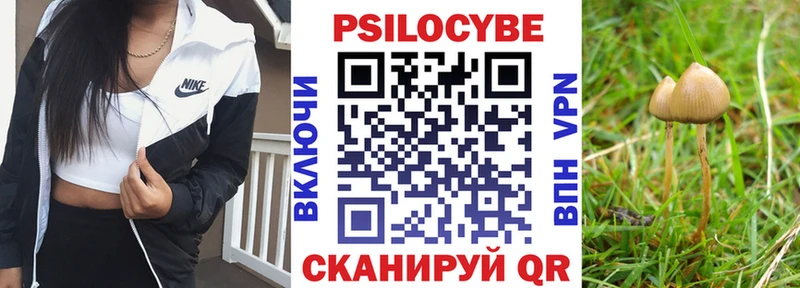 Галлюциногенные грибы Psilocybine cubensis Отрадная